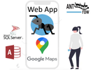 What is the Google Map API